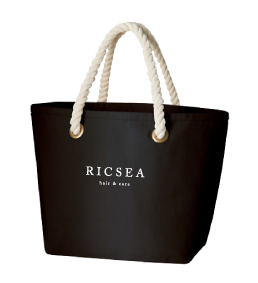 RICSEA_bag.png
